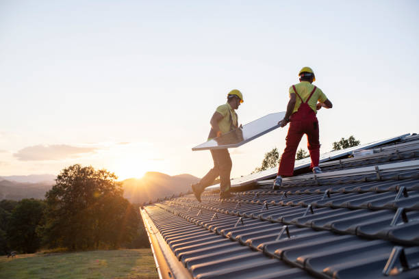 Roof Moss and Algae Removal in Lesslie, SC