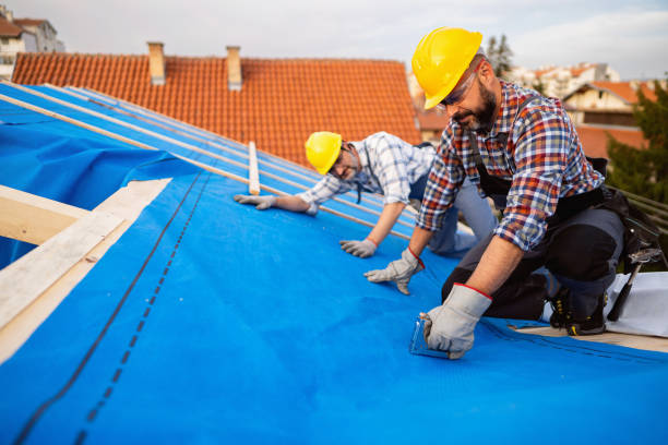 Steel Roofing in Lesslie, SC